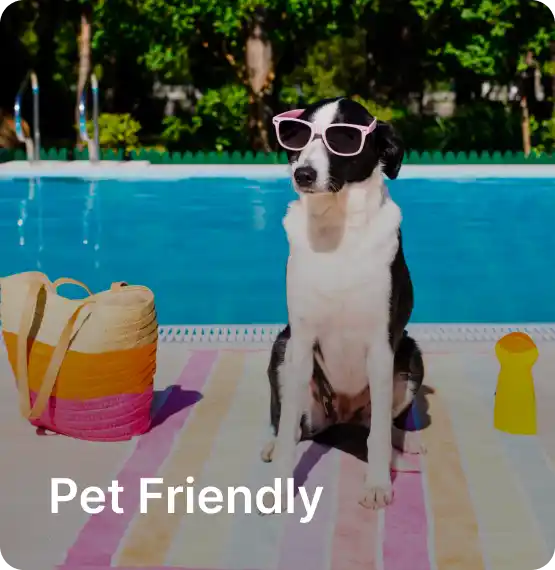 Pet Friendly